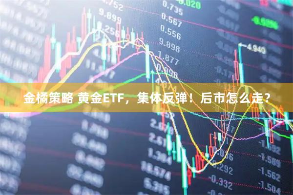 金橘策略 黄金ETF，集体反弹！后市怎么走？